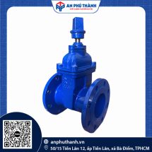 Van Cổng Ty Chìm Nắp Chụp DN50 – DN1000 | PN16 | Hiệu YDK