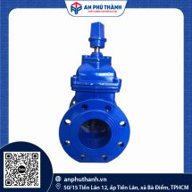Van Cổng Ty Chìm Nắp Chụp DN50 – DN1000 | PN16 | Hiệu YDK