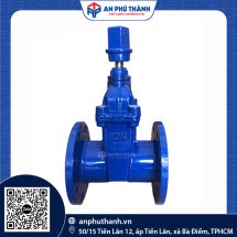 Van Cổng Ty Chìm Nắp Chụp DN50 – DN1000 | PN16 | Hiệu YDK