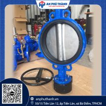 Van Bướm Tay Quay BTL | Model D371X-10