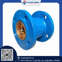 Van một chiều lò xo | Model RVHX/CX-16| Hiệu BTL