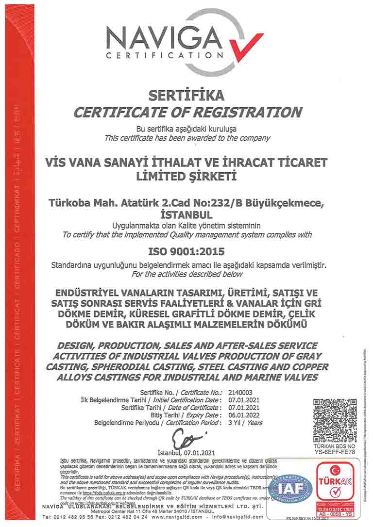 Chứng nhận ISO 9001 của Visvana