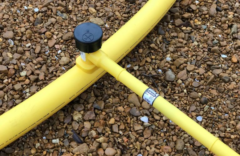 Hoạt động hoàn toàn tự động