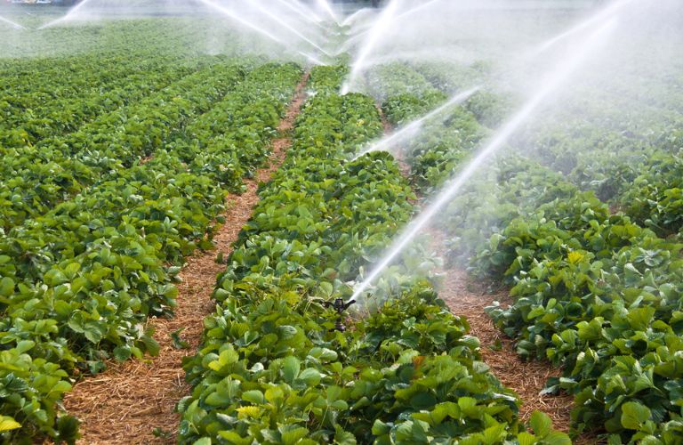 Khớp nối nhanh thường được ứng dụng trong hệ thống tưới tiêu, dẫn nước