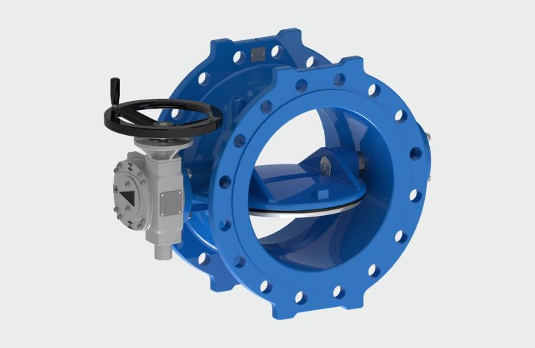 Van bướm lệch tâm kép