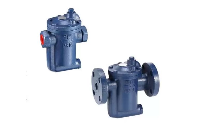 Bẫy hơi gầu đảo Trung Quốc