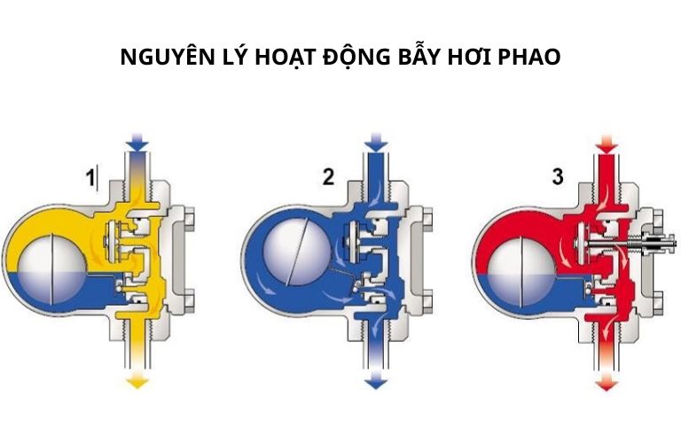 Nguyên lý hoạt động của bẫy hơi phao